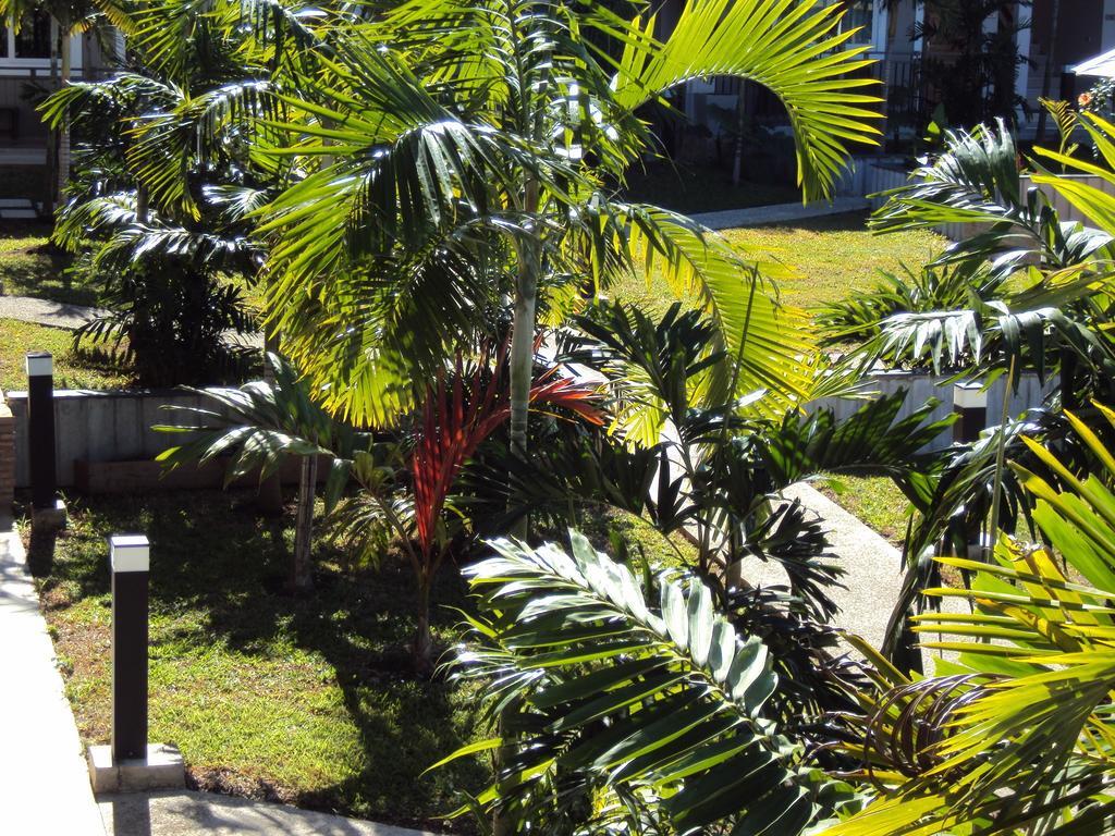 Hotel Colibri Koné Buitenkant foto